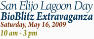 Lagoon Day: Saturday, May 16